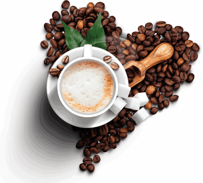 Premium coffee beans